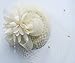 Cizoe Fascinator Hair Clip Pillbox Hat Bowler Feather Flower Veil Wedding Party Hat Tea Hat (1-Beige)
