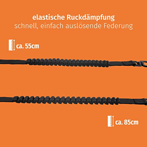 Floxik Ruckdämpfer elastisch groß für mittelgroße und große Hunde | Bungee Leinenverlängerung für Jede Hundeleine | ideal zum Joggen, Radfahren und Spazierengehen Schwarz