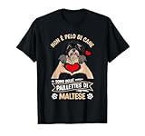 Amore Per Il Tuo Cane Maltese Dolce
