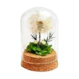LUMITERRA Flor de Diente de León en Cristal, para Mujeres Flores Preservadas en Cristal Regalo, Regalos Creativos, para Cumpleaños Día de Madres Boda Navidad Mama Abuela Hermana Amiga