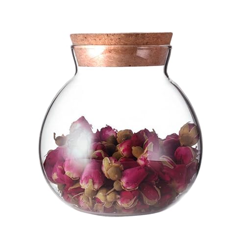 Luftdichtes, klares, rundes Glasgefäß mit Kork, Tee-Behälter, Vase, Öko-Flasche, kleine Kugel, Moos, DIY-Kanister für Küche, Aufbewahrung, Heimdekoration, 500 ml