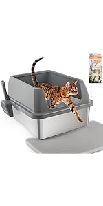 Small manufacture image 3