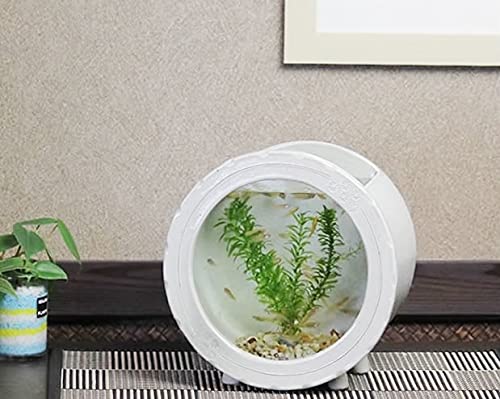 若深珍蔵　金魚紋碗　送料込み25010 楽天市場】AKOMEYA TOKYO/ くらわんか飯碗 一珍扇子紋 波佐見焼