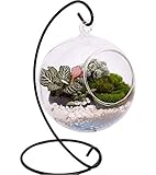 10L0L Charming Clear Hanging Glass Ball Vase Air Plant Terrarium Kit/Succulent Flowerpot Container w/Black Metal Stand (Big)