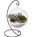 10L0L Charming Clear Hanging Glass Ball Vase Air Plant Terrarium Kit/Succulent Flowerpot Container w/Black Metal Stand (Big)