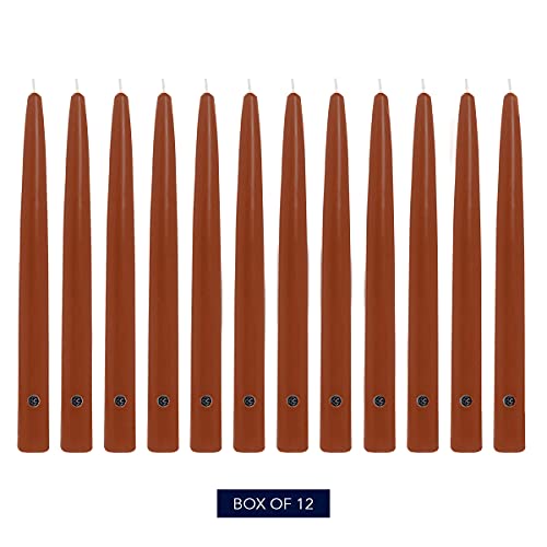 Image of Colonial Candle Unscented Taper Candle, Handipt Collection, Amber, 12 in, Pack of 12 - Up to 10 Hours Burn