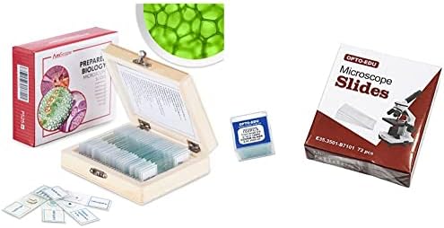 AmScope PS25 Prepared Microscope Slide Set for Basic Biological Science Education, 25 Slides & OPTO-EDU E35.3501 Blank Microscope Slides & 100-Pieces Square Cover Glass, Glass