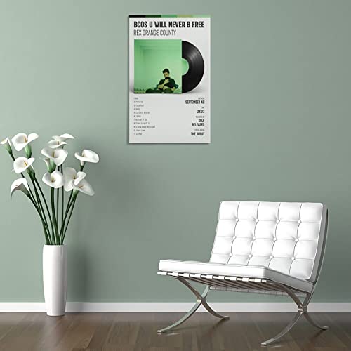 Poster Rex Orange County BCOS U WILL Never B FREE pour déco bureau et chambre