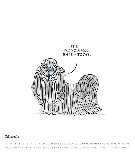 Alpha Edition - A Cat’s Life & A Dog’s Life 2026 – Wendekalender 30×30 cm (30×60 geöffnet) mit Katzen- & Hunde-Cartoons, humorvoller Wandkalender für Tierfreunde mit Illustrationen von Gemma Correll
