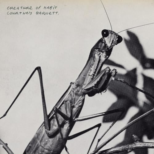 Creature Of Habit / Courtney Barnett