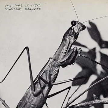 Site Unseen - Courtney Barnett