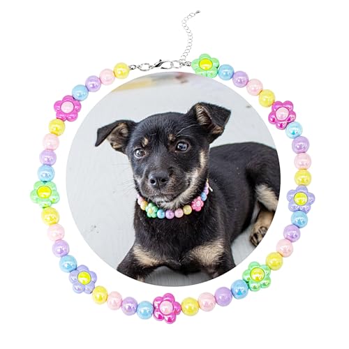 SM4BED ̎փp[lbNXAJtȌ̂r[Yƈ炵ԁA^̂߂̒߉\ȃybgWG[AXL 17C`