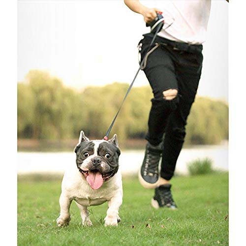 Minishark 360° Tangle-Free Dog Lead Retractable for Up to 15 kg Dogs, 5 m Strong Nylon Tape | One-Handed Brake, Pause, Lock Dog Accessories - Image 9