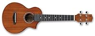 Cutaway Concert Style EW body 19 Frets Mahogany back and sides Ibanez/Aquila NYLBLACK Ukulele strings