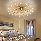 ★ Modern Chic Design Stil Rund Gypsophila Stern Romantisch Deckenleuchten Kreativität Klassisch Innen Deko Deckenlampe, Hauptmaterial aus Hohe Qualitä Eisen und Acryl, Ausgezeichnet Verarbeitung und einfach Montage.