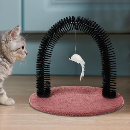 Cuidado belleza gatitos sin estrés usando el cepillo masajeador para gatos interactivo 2