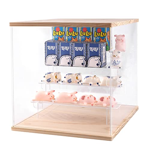 Boîte de Presentation pour Pop Figurines étanche à la poussière