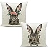 Hlonon easter decorations throw pillow cover set of 2 farmhouse decorative pillows rabbits home decor rustic for spring easter 18 x 18 in  urban country home decor