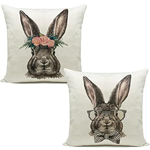 Hlonon Easter Decorations Throw Pillow Cover Set of 2 Farmhouse Decorative Pillows Rabbits Home Decor Rustic for Spring Easter 18 x 18 in