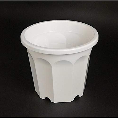 Amazon Co Jp 植木鉢 丸鉢 ８号 直径２４ ５ 高さ２０ ５ｃｍ 白 Diy 工具 ガーデン