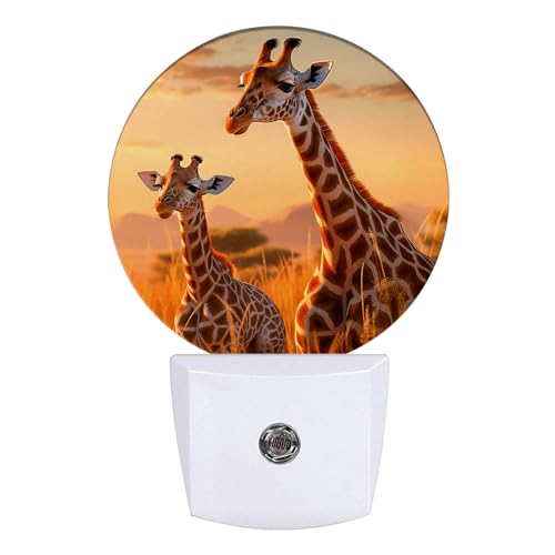 Image of Funny Giraffe Night Light African Animal Night Lights LED Lamp Round Plug into Wall Nightlight with Dusk to Dawn Sensor Home Hallway Stairway Kitchen Decor