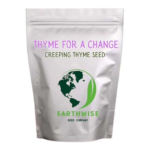 Earthwise Thyme for a Change Wild Creeping Thyme Seeds – Fragrant Groundcover, Alternative Lawn, Drought Tolerant, Pollinator Friendly, Organic – Covers Up to 250 sq ft, 1/2 oz, ~8,000 Seeds