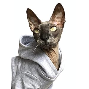 Kotomoda Katzen Kleidung Hoodie AtHome (S)