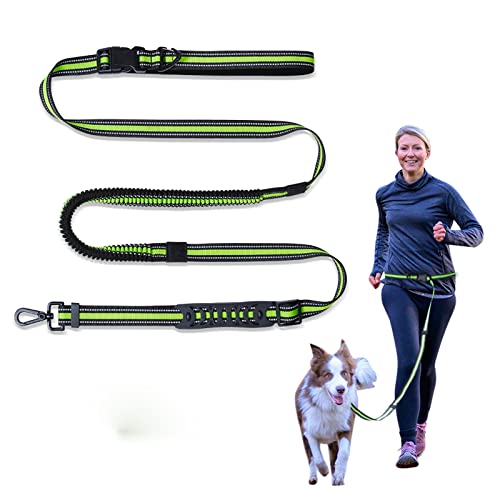 Guinzaglio Mani Libere Per Cani | Cintura Regolabile | Fino A 60kg | Con Tasca Per Telefono