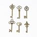Bingcute 6 Type Of 30Pcs Bronze Vintage large Skeleton Keys -Vintage Keys Charms skeleton key set