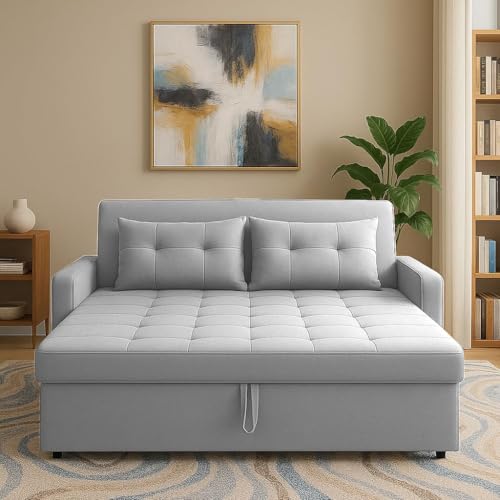 Image of Emilio 2 Seater Pull-Out Sofa Cum Bed | Premium Fabric Convertible Sleeper Sofa Set Space Saving for Living Room Office Home Guests Daily Use | 1 Year Warranty | Grey Colour Fabric Sofa