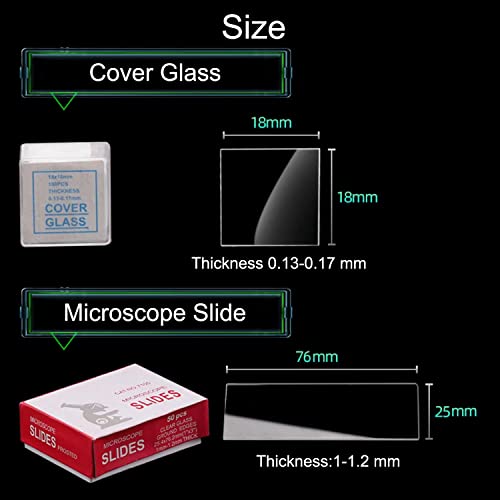 SyiXute 50 Stück Objektträger mit Geschliffener Kante 76 x 25 mm und 100 Stück Vorgereinigte Mikroskop-Deckgläser 18 x 18 mm für Die Grundlegende Ausbildung in Biologie