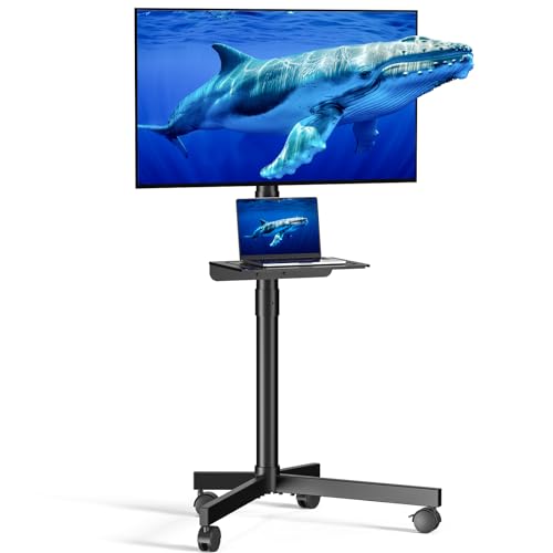 Xyndyx Mobile TV Cart for 23-60 Inch LCD LED OLED Flat Curved Screen TVs - Height Adjustable Rolling...