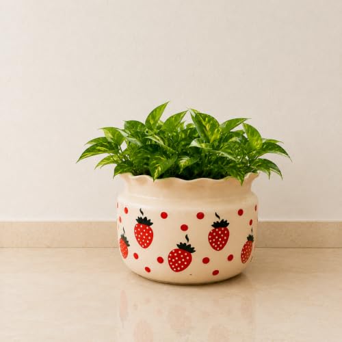 Image of Niyara Designer Ceramic planters pots for Indoor Outdoor Home, Garden Office Decor Balcony Planters Gamla Flower Size- Large, 8 inches (Strawberry)