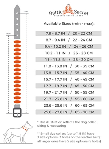 Bernsteinkette Hund | Verstellbares Bernsteinhalsband für Hunde & Katzen mit Lederband | Hundehalsband