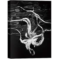SIGNWIN Canvas Wall Art A Closeup of an Octopus Tentacles Underwater Marine Life Ocean Photography Modern Art Beach Dramatic Black and White for Living Room, Bedroom, Office - 12x18 inches