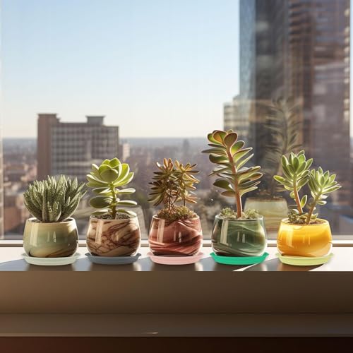 ECOESPTI 7Pcs Plant Saucer Tray, Heavy Duty Plastic Plant Drip Trays for Indoors and Outdoors, 6 8 10 12 14 16 inch Sizes, Flower Plant Water Tray Base (Brick Red 10") by ECOESPTI - Used condition - Image 4