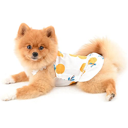 PAIDEFUL Abito per Cani di Piccola Taglia Gatti