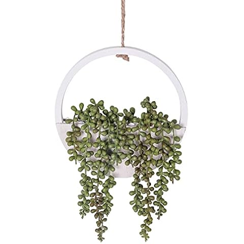 Floweroyal 1 Piezas Plantas Colgantes Suculentas Artificiales Cadena de Perlas Falsas Cover