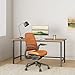 Steelcase Series 1 Office Chair - Ergonomic Work Chair with Wheels for Hard Flooring - Helps Support Productivity - Weight-Activated Controls, Back & Arm Support - Easy Assembly - Tangerine