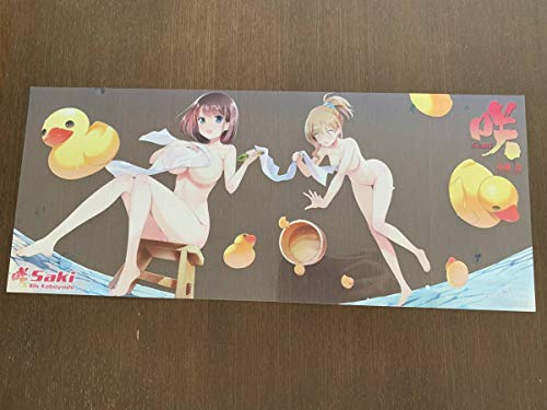 クリアカバーのみ咲-Saki-17巻シノハユ 8巻怜-Toki-2巻メロンブックス連動購入特典クリアブックカバー クリアカバーのみ咲-Saki-17巻シノハユ 8巻怜-Toki-2巻メロンブックス連動購入特典クリアブックカバー