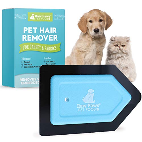 Raw Paws Pet Hair Remover Detailing Tool - Carpet Hair Brush - Dog Brush for Furniture - Mini Car Hair Remover Rubber - Upholstery Hair Remover - Pet Hair Magnet - Cat Fur Remover - Detailing Brushes