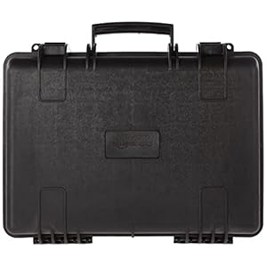 Amazon Basics Medium Hard Camera Case, 18 x 14 x 6 Inches, Black, Solid