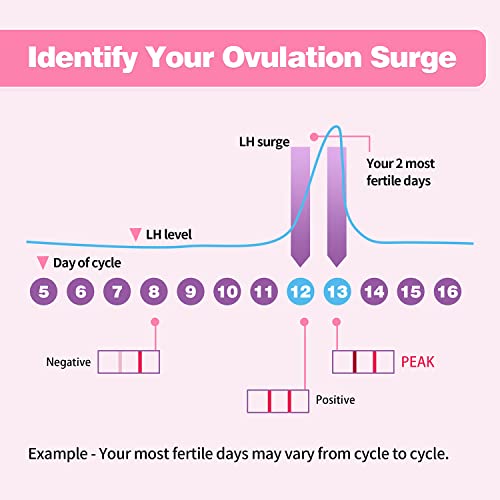 Ovulation Test Strips, Heal-Check Ovulation Kits For Women, Bulk Ovulation Tests With Urine Cup, Extra-Wide 5Mm Lh Strips, Accurate Individually Wrapped Fertility Tests At Home, Test De Ovulation (30) #TOP6