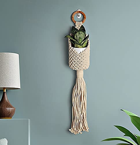 Macrame Cotton Plant Hanger Plant Hanger Hook Rope Flower Pot Holder for Indoor Outdoor Balcony Garden Plant Hanging net Plant Hanger Decor Flower Planter Hanging Rope [Pack of 2] (B09J98R3L5) Amazon Price History, Amazon Price Tracker