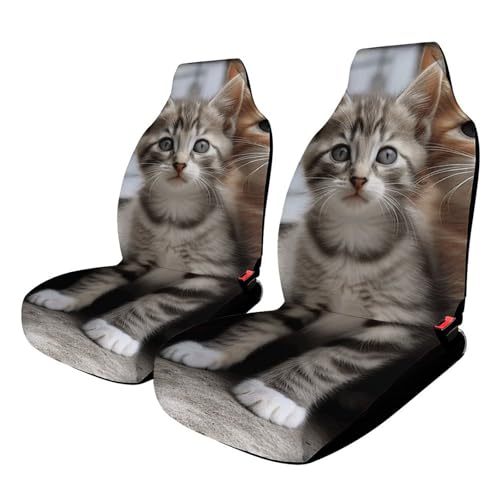 Housse de siege de voiture universelle motif chatons pour masquer les sieges abimes