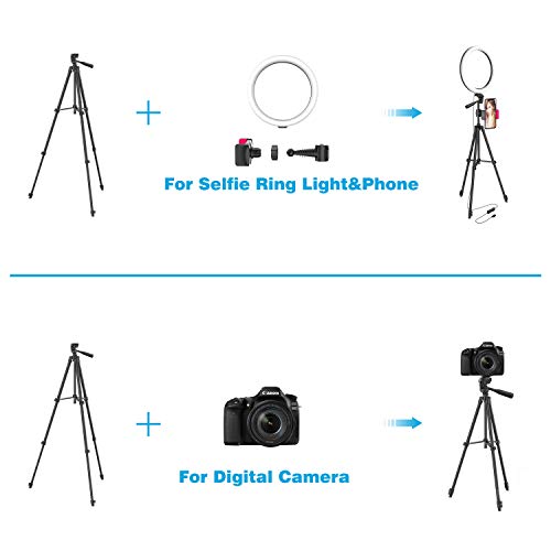 12" LED Selfie Ring Light with Tripod Stand & Cellphone Holder for Live Stream/Makeup/YouTube Video, Dimmable Beauty Ringlight, Color Temperature 3000K-6000K, 168Bulbs, Remote