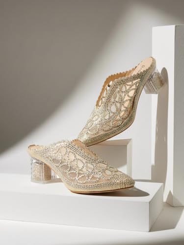 Image of Women Fancy Sandal for Women with Transparent Heel I Fashion Mules HN-900