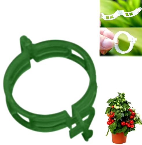 100 clip per piante in plastica sicura, riutilizzabili, clip di fissaggio per pomodori, clip per piante rampicanti, clip da giardino, clip di supporto da giardino, clip per giardinaggio e cetriolo