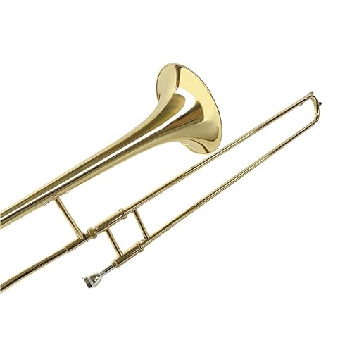 image for YoungMonic Bb Tenor Slide Trombone B Flat Gold Brass Plated Trombone f
