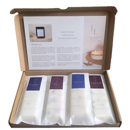 Wax Melt Gift Set, 200g - Luxury Fragrances | Eco-Friendly & Long-Lasting, up 160+ hours | Gift Set 4 Scents (Blueberry & Vanilla /Black Plum & Rhubarb/Paradise Beach/Damson, Plum, Rose & Patchouli)